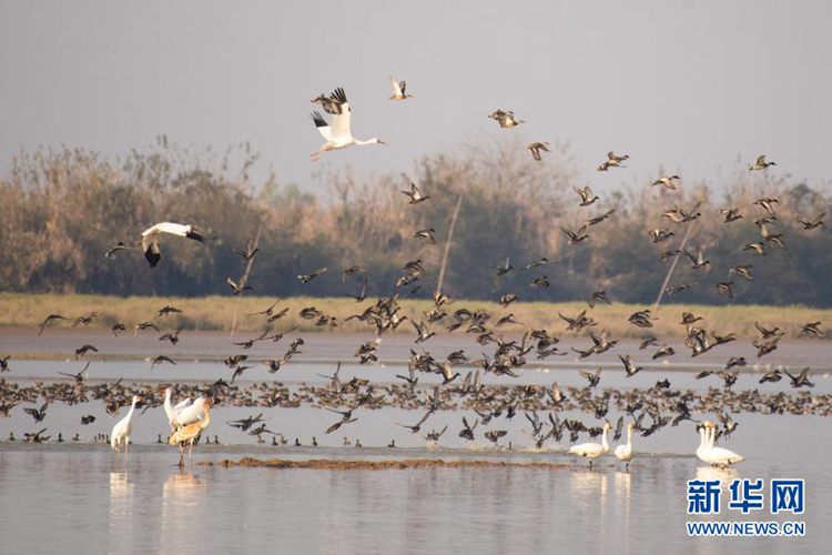 第一健康报道 第一健康报道