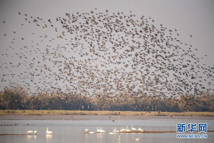 第一健康报道 第一健康报道