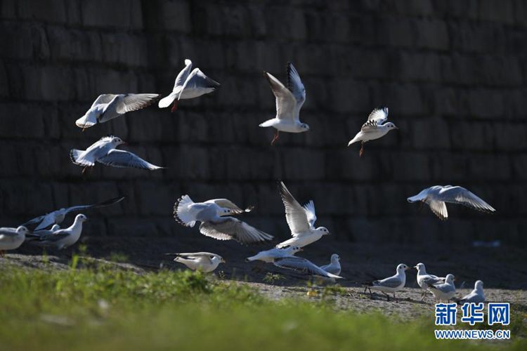 第一健康报道 第一健康报道