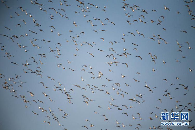 第一健康报道 第一健康报道