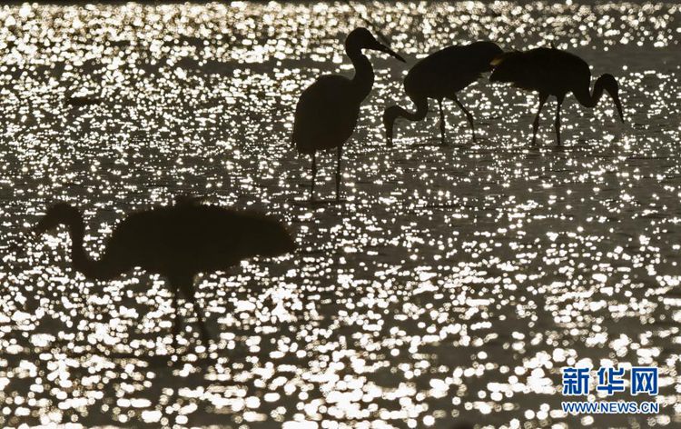 第一健康报道 第一健康报道