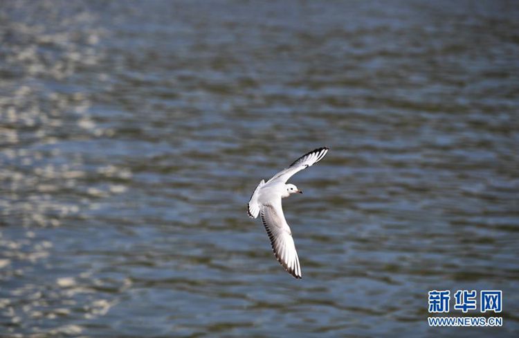 第一健康报道 第一健康报道