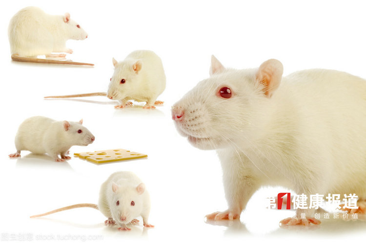 1613878940393695.jpg 268170379285233856.jpg