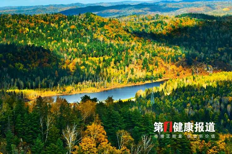 1614590661802299.png 图片1.png