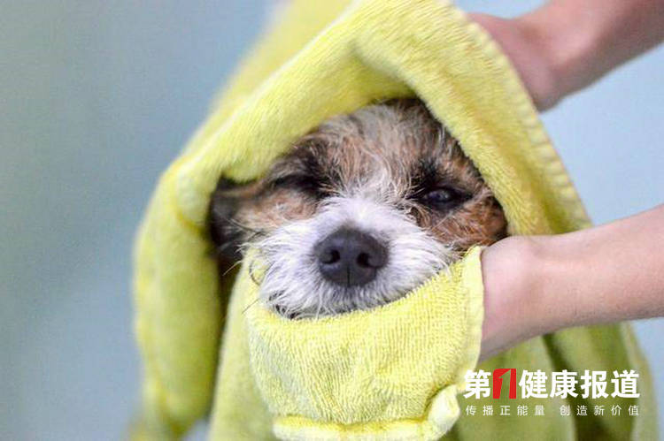 1614596000480796.jpg 微信图片_20210301183935.jpg