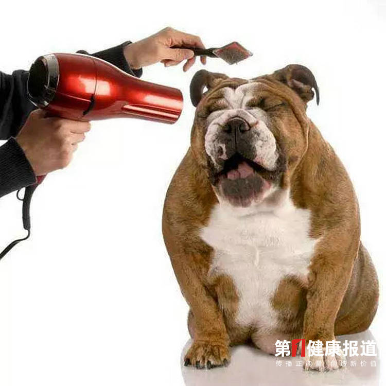 1614596052667531.jpg 微信图片_20210301183942.jpg