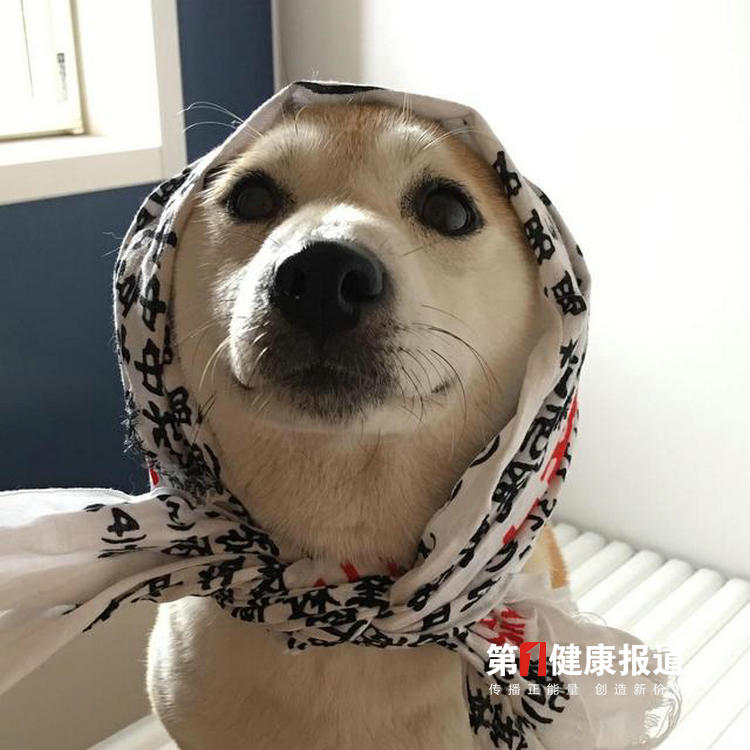 1614596070157896.jpg 微信图片_20210301183948.jpg