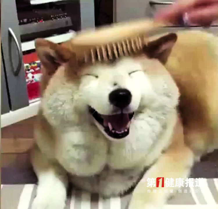 1614596097852165.jpg 微信图片_20210301183955.jpg