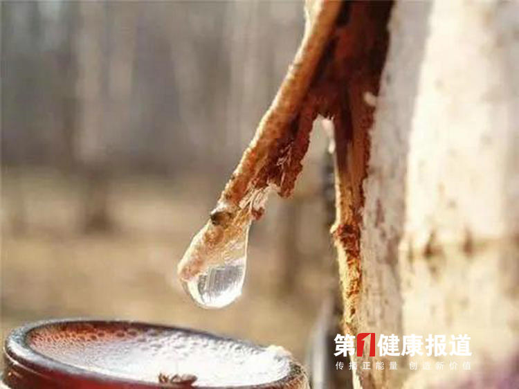 1616662210322083.jpg 1612926872101748.jpg