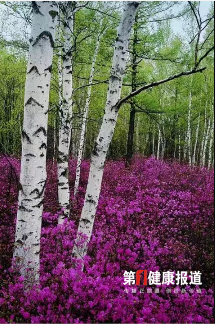 1616662282343624.png 微信图片_20210325164651.png