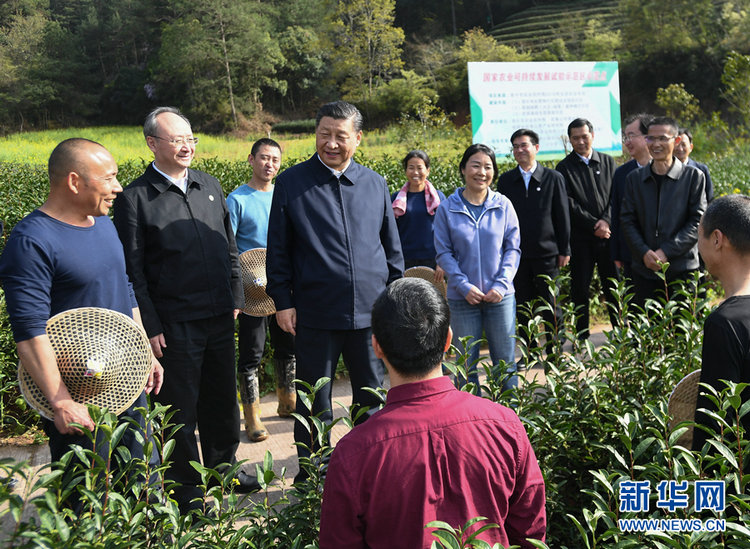 习近平：做好茶文化、茶产业、茶科技这篇