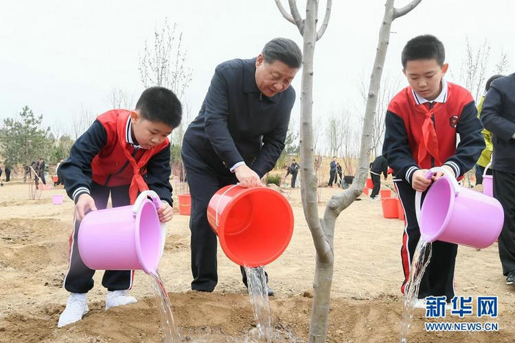 习近平植树说的这些话(图文)