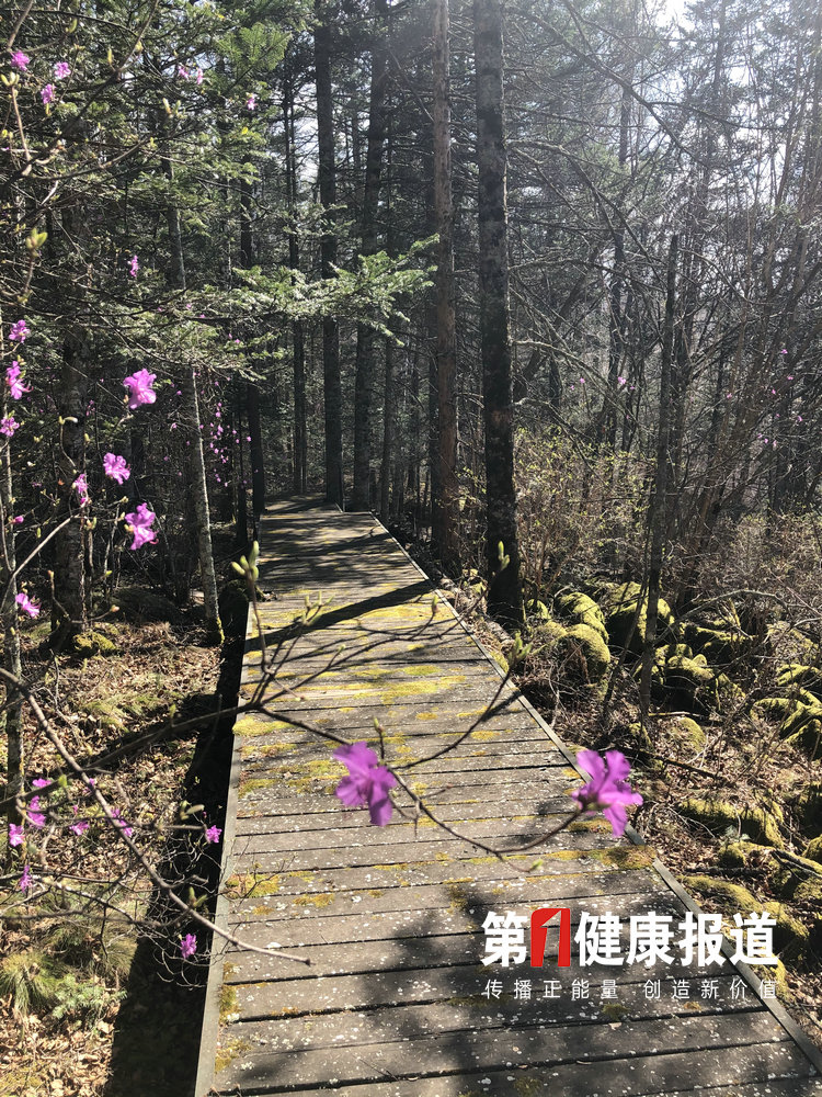 1620611515132562.jpg c285436ed7f732993274b29e3e1333d.jpg