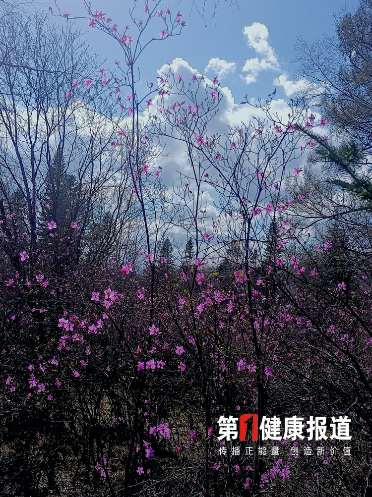 1620611694660840.jpg 24270f5a50bf6d5fac14c0b6fa6d85c.jpg