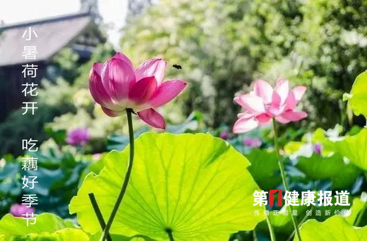 1625628300702763.png dc4c5b3575a742c6a5296318f45e54bd_th.png