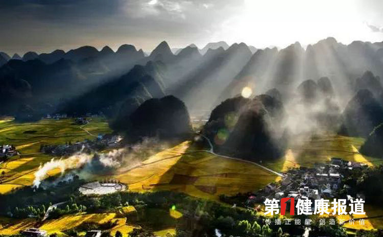 1625707935783147.jpeg bf2a7f404b3d4833ac77d4ea430dba23.jpeg