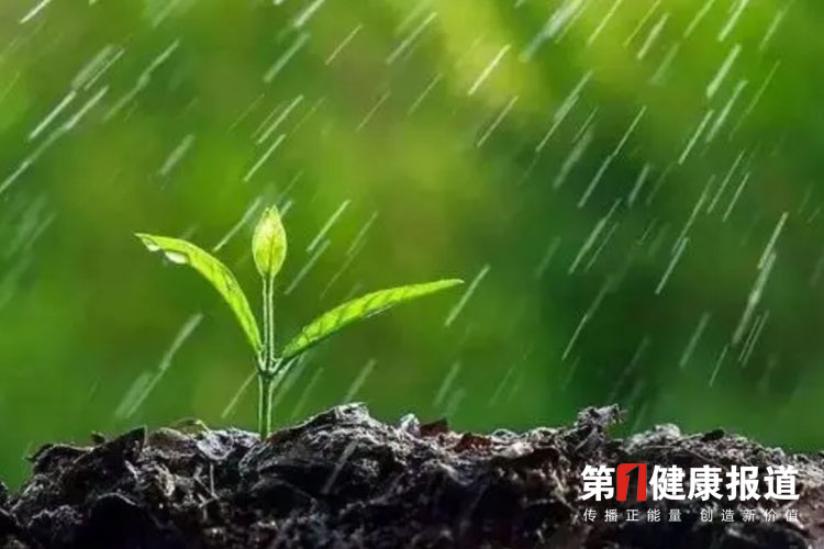 雨水时节，要注意预防过敏性疾病