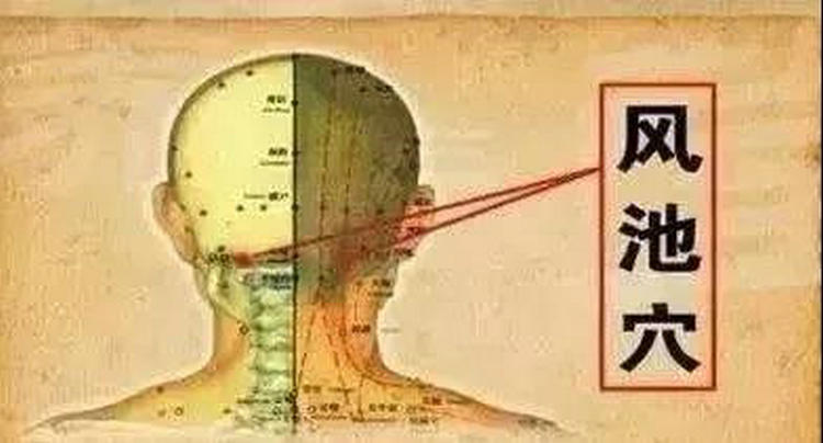 1642070627219134