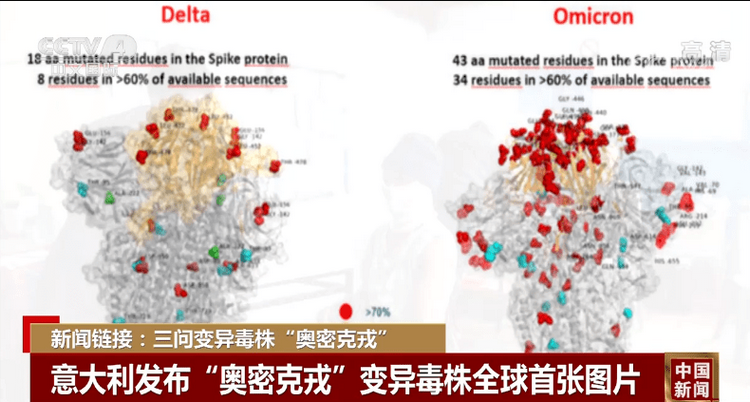 1642413222499344.png 13c291b773b54c17adcc60c67aae3f35.png