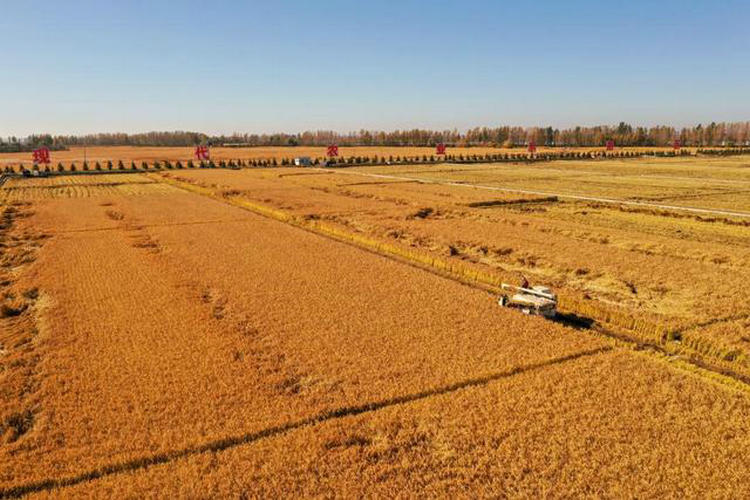 1646822343961498.jpg 微信图片_20220309183712.jpg