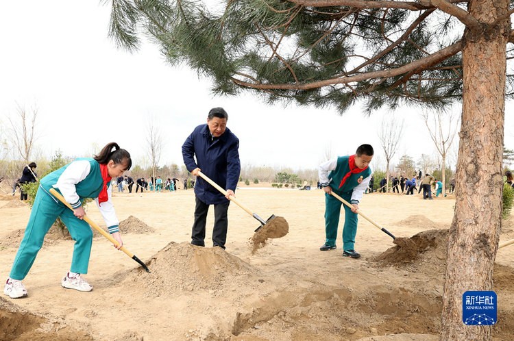 习近平参加首都义务植树活动