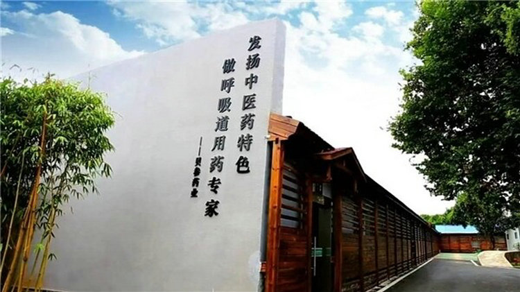 慢呼病破局者|金芝艾复方太子参止咳益气散