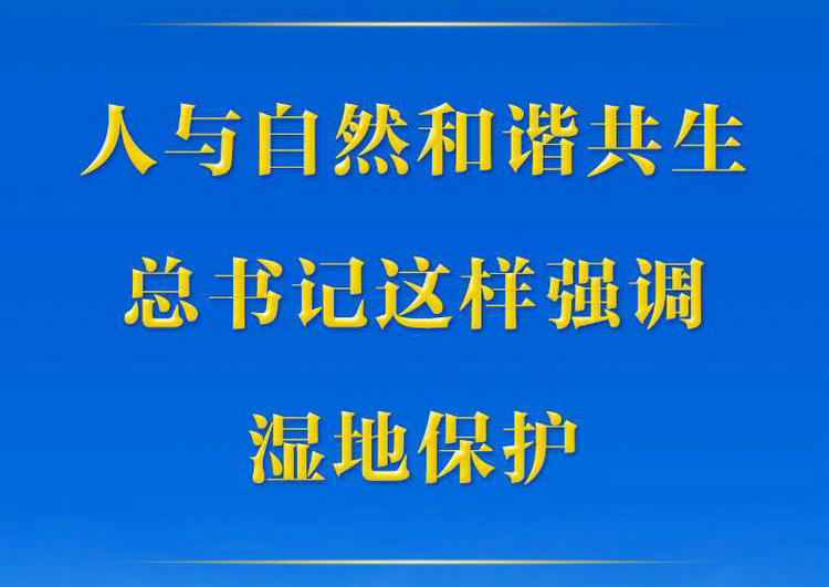 第一观察丨人与自然和谐共生，总书记这样强调湿地保护