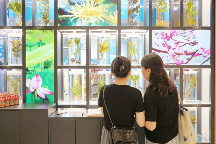 1696843387445049.png 未标题-8.png