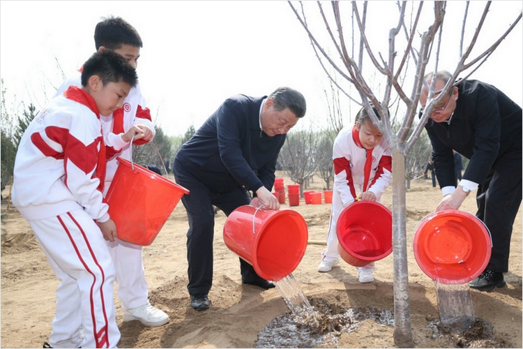 习近平：人人争当绿色使者、生态先锋，为建设美丽中国增绿添彩