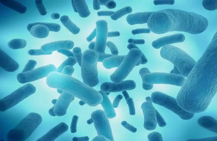 肠道微生物也会影响睡眠质量？陆林院士告诉你