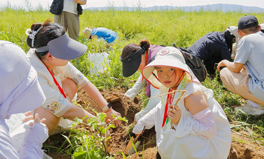 1753411905474691.png 6388903311540145305217625.png