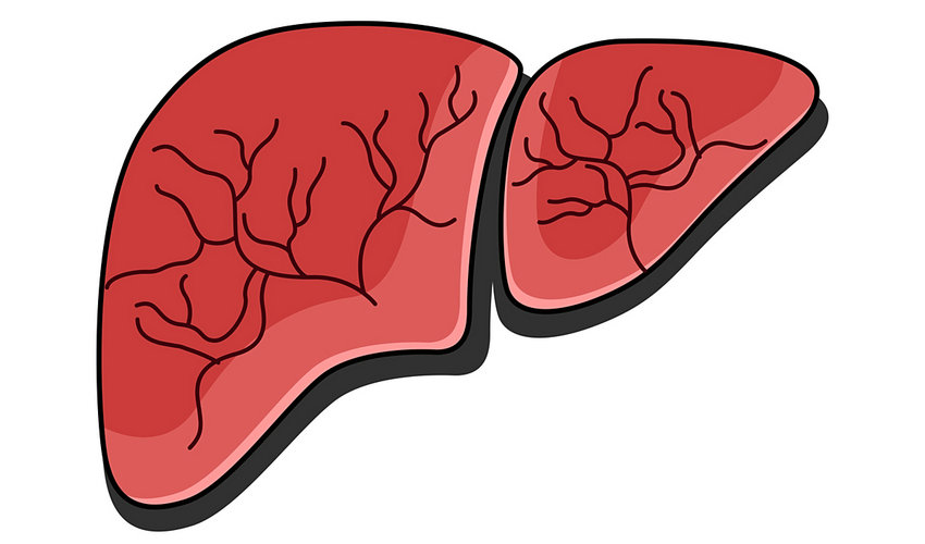 肝苏片为肝脏健康撑起 “防护伞”