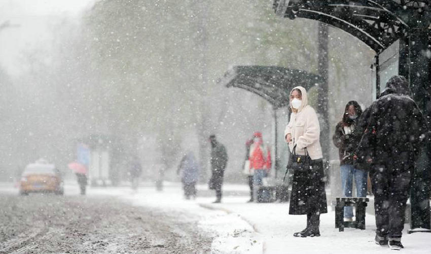 1765335780895429.jpg t04c5936ed10434a381.jpg