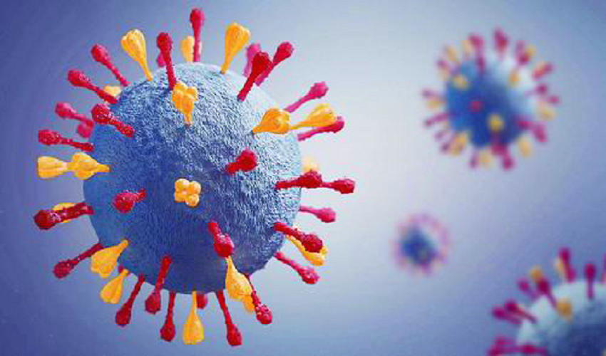 中疾控：各省份流感病毒检测阳性率均呈下降趋势