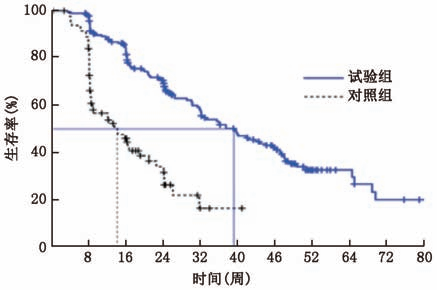 1768203042685094.png 1767923289860032.png