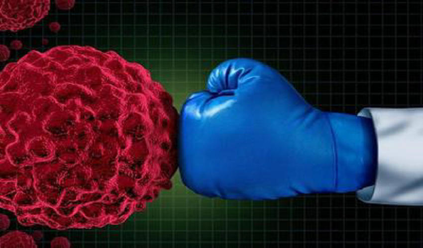 雪域高原医疗进阶路：从技术空白到生命屏障的守护之旅