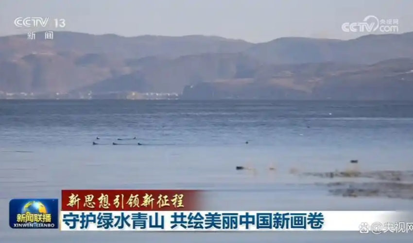 1791790324486432.jpg 4034970a304e251fe269fc5d04dcb9057e3e5361_副本.jpg