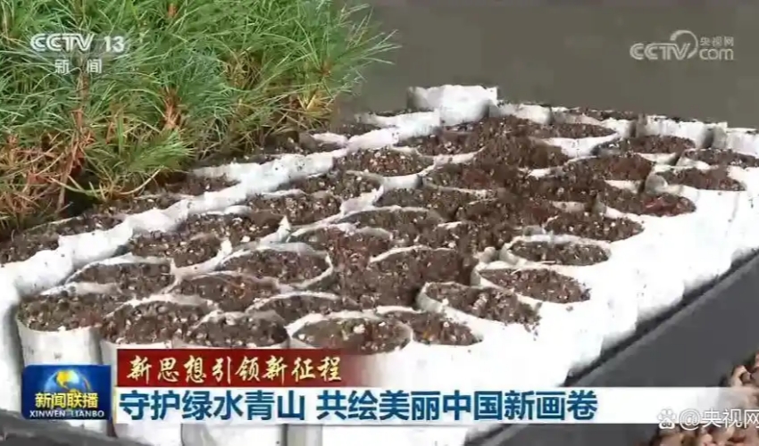 1791790754441253.jpg 203fb80e7bec54e75f572aea1b62eb424ec26a73_副本.jpg